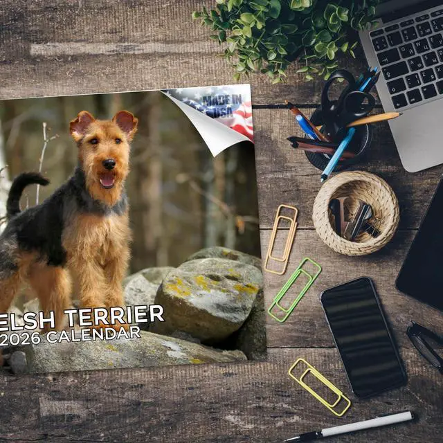 Alt view image 5 of 7 - Welsh Terrier Calendar 2026 2027 14 Month Wall Calendar | Dog Lover Gift, Thick 100# No-Bleed Paper, Large Writing Blocks, Made in USA, Wire Coat Terrier, Teacher Gift