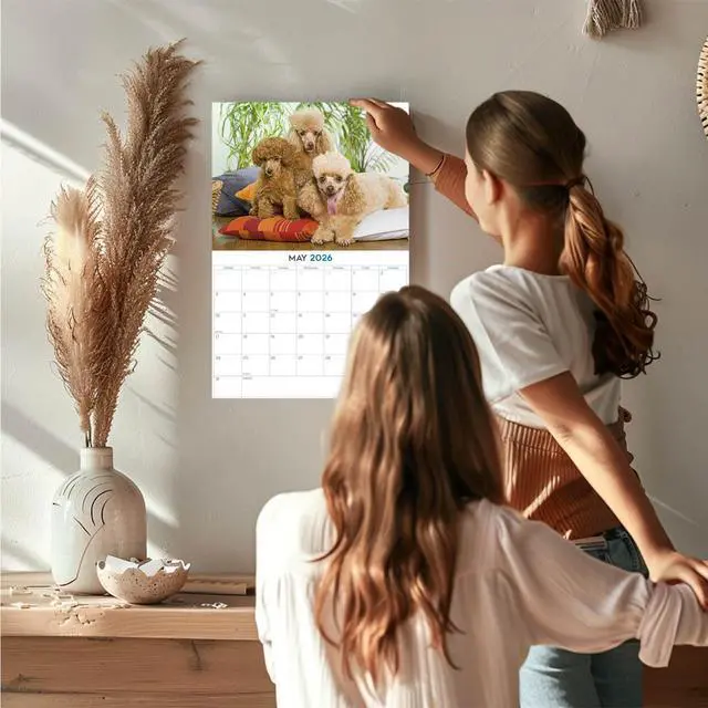 Alt view image 2 of 7 - Toy Poodle Calendar 2026 2027 14-Month Toy & Miniature Poodle Wall | Dog Lover Gift, Thick 100# No-Bleed Paper, Large Writing Blocks, Made in USA, Small Poodle Decor, Teacher Gift