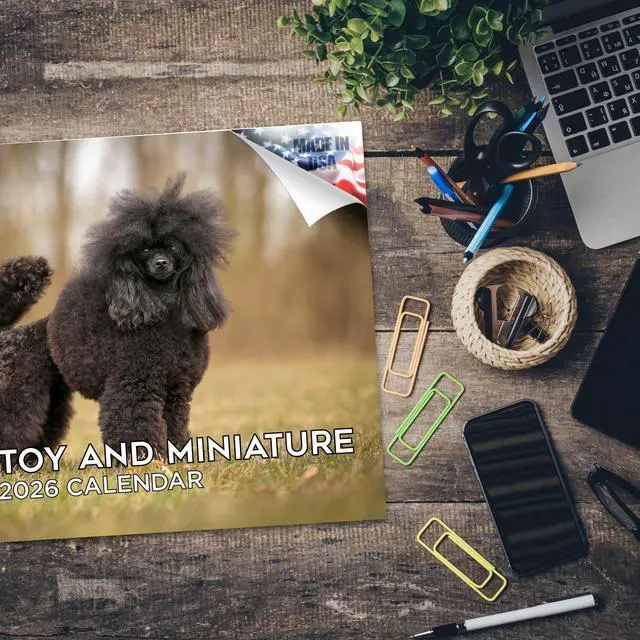 Alt view image 5 of 7 - Toy Poodle Calendar 2026 2027 14-Month Toy & Miniature Poodle Wall | Dog Lover Gift, Thick 100# No-Bleed Paper, Large Writing Blocks, Made in USA, Small Poodle Decor, Teacher Gift