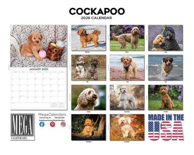 Alt view image 3 of 7 - Cockapoo Calendar 2026 2027 14 Month Wall Calendar | Dog Lover Gift, Thick 100# No-Bleed Paper, Large Writing Blocks, Made in USA, Doodle Decor, Teacher Gift