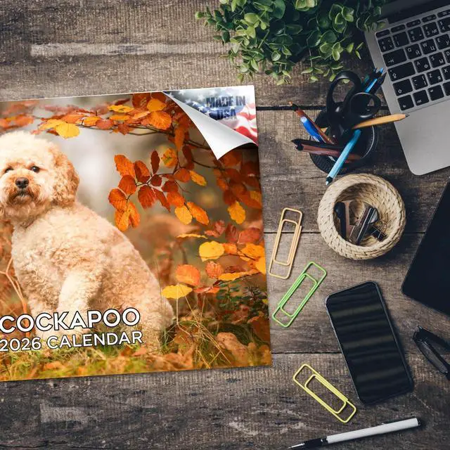 Alt view image 5 of 7 - Cockapoo Calendar 2026 2027 14 Month Wall Calendar | Dog Lover Gift, Thick 100# No-Bleed Paper, Large Writing Blocks, Made in USA, Doodle Decor, Teacher Gift