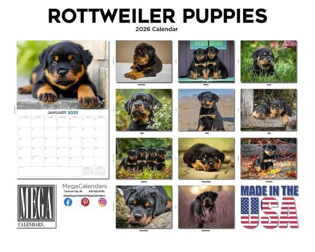 Alt view image 3 of 7 - Rottweiler Puppy Calendar 2026 2027 14 Month Wall Calendar | Dog Lover Gift, Thick 100# No-Bleed Paper, Large Writing Blocks, Made in USA, Puppy Photos, Teacher Gift