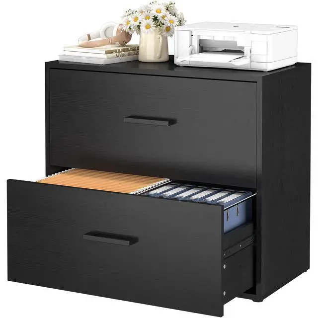 Main image of File Cabinet 2 Drawer, Lateral File Cabinet with Hanging Bars for Letters, Printer Stand Filing Cabinets for Home Office, Black