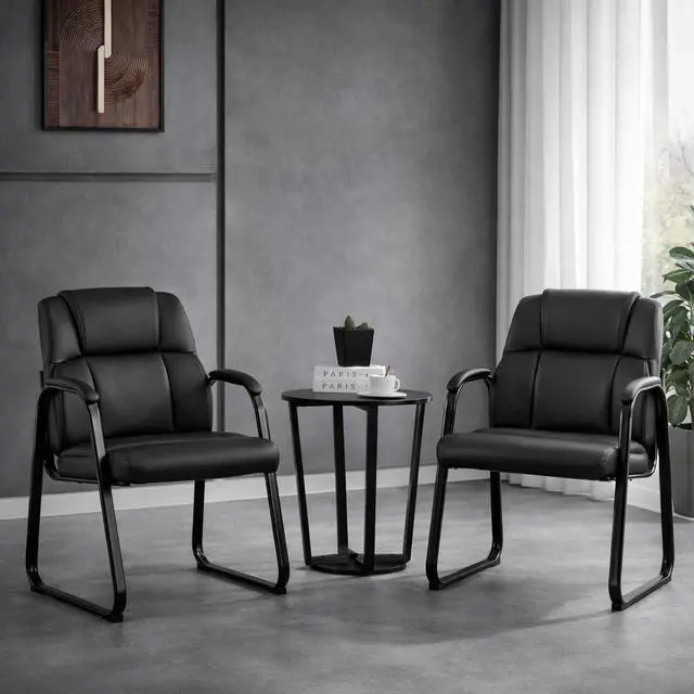 Main image of Office Guest Chairs, Leather, Sled Base, Set of 2 | Waiting rooms, reception areas, conference rooms, ergonomic support, padded armrests, no wheels, clinics, home office