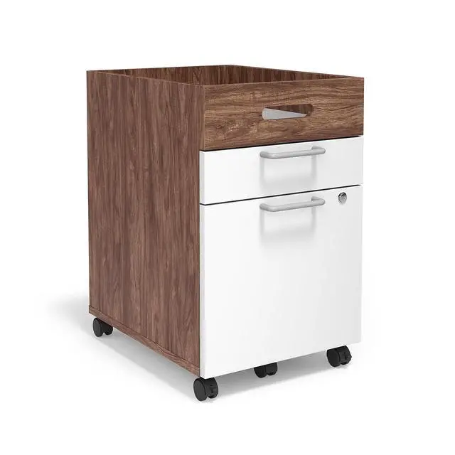 Main image of 2 Drawer Mobile File Cabinet, Rolling Printer Stand, Vertical Filing Cabinet, Office Drawers, Filing Cart for Home Office, A4/Letter Size, Black and Rustic Brown BFK20WJ01