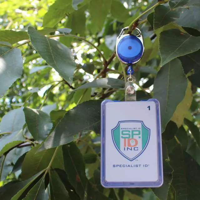 Alt view image 7 of 7 - 2 Pack - Hard Plastic 3 Card Badge Holder with Retractable Reel - Retracting ID Lanyard Features Belt Clip & Carabiner - Rigid Vertical CAC Holder - Top Load Holds Three Cards by (Blue)
