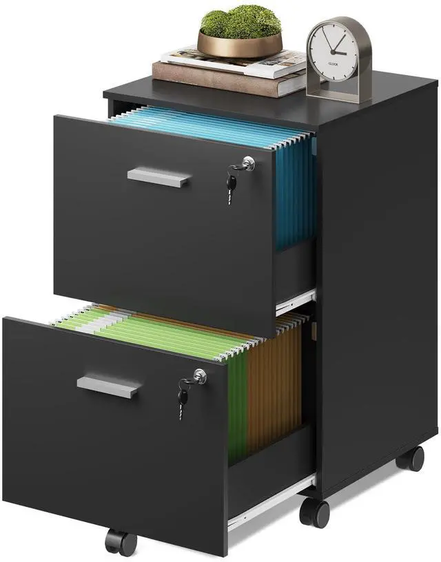 Main image of 2 Drawer Wood File Cabinet with Lock, Mobile Printer Stand, Black | Under Desk Cabinet, Filing Cabinet, Rolling & Locking, Fits A4 or Letter Size, For Home Office & Study