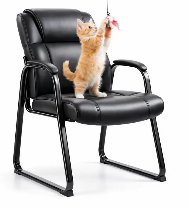Main image of Office Guest Chairs, Leather, Sled Base | Waiting rooms, reception areas, conference rooms, ergonomic support, padded armrests, no wheels, clinics, home office