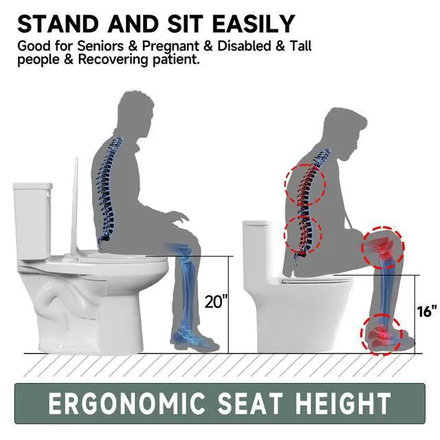 Alt view image 4 of 6 - Elongated 19 Inch ADA High White Toilet for Bathroom | Powerful Tornado Flush Single Flush 1.28 GPF, Comfort ADA Bowl Heigh 19 Tall Toilet for Seniors,Two Piece 12 Rough In