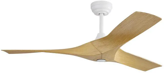 Main image of 52 Inch Propeller Ceiling Fan No Light, Remote Control, 6 Speeds Noiseless DC Motor, 3 ABS Blades, Indoor Outdoor Ceiling Fans for Living Room, Bedroom, Patio