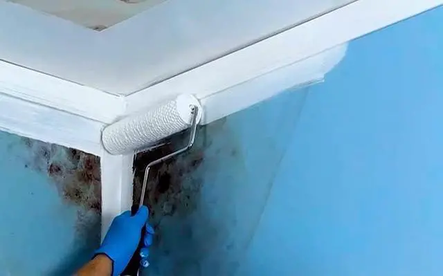 Alt view image 4 of 5 - 24-7 Zero Interior Mold & Mildew Resistant Coating (5 Gallons, White)