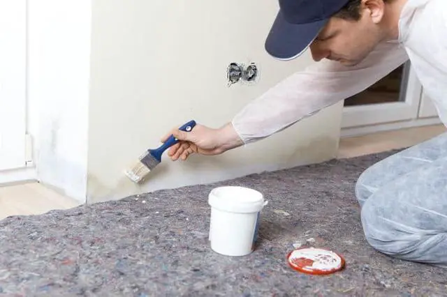 Alt view image 5 of 5 - 24-7 Zero Interior Mold & Mildew Resistant Coating (5 Gallons, White)