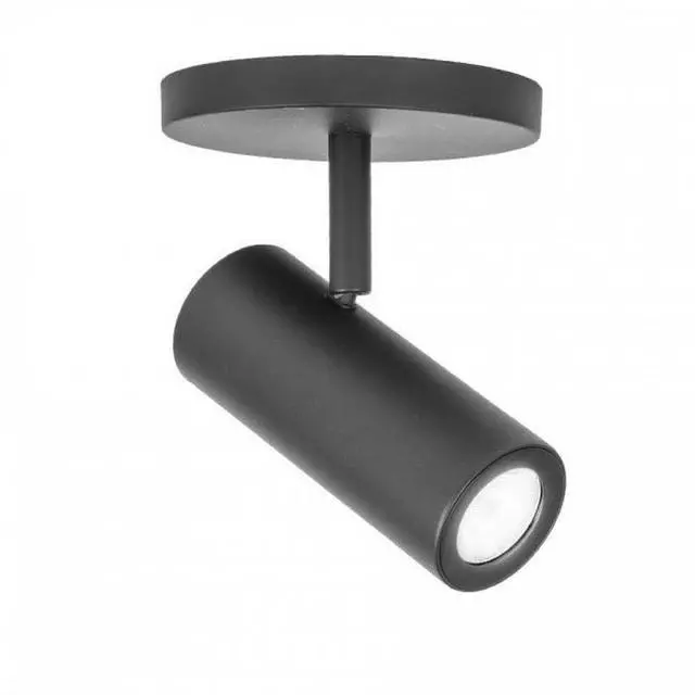 Main image of MO-2010-930-BK Silo X10 LED Monopoint Flood Beam, Black