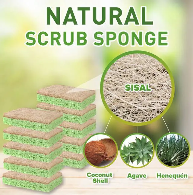 Alt view image 2 of 7 - Natural Sponges - 10 Pack Biodegradable Compostable Cellulose and Coconut Natural Sponges for Dishes, Eco Friendly Non Toxic Kitchen Sponge