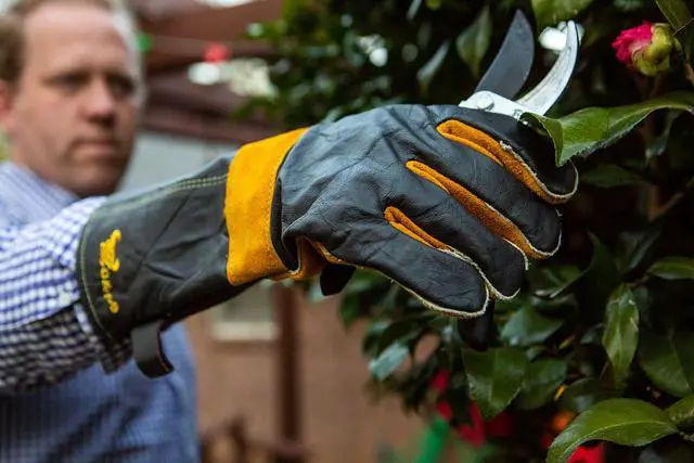 Alt view image 4 of 7 - Premium Leather Heat-Resistant Gloves BBQ, Fireplace Puncture, Cut, and Fire Protection with Cotton Lining and Kevlar Stitch Durable Suede and Cowhide Leather