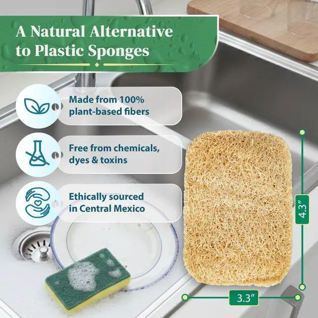 Alt view image 2 of 7 - Natural Loofah Kitchen Sponge (3 Pack) - Natural Sponges for Dishes - Eco Friendly and Compostable Sponges - Biodegradable Plant Based Kitchen Dish Sponge - Plastic Free Dish Scrubber