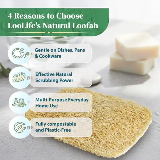 Alt view image 7 of 7 - Natural Loofah Kitchen Sponge (3 Pack) - Natural Sponges for Dishes - Eco Friendly and Compostable Sponges - Biodegradable Plant Based Kitchen Dish Sponge - Plastic Free Dish Scrubber