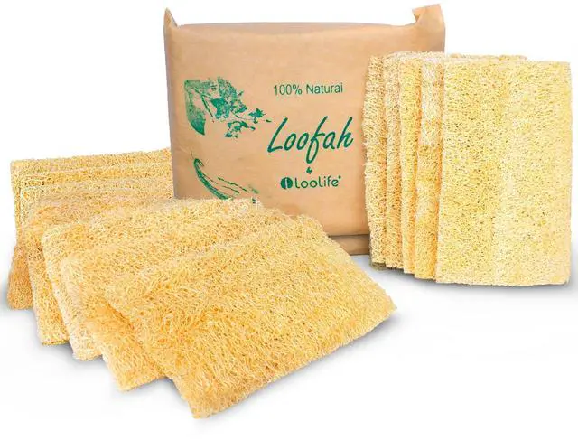 Main image of Natural Loofah Kitchen Sponge (XL - 10 Pack) - Natural Sponges for Dishes - Eco Friendly and Compostable Sponges - Biodegradable Plant Based Kitchen Dish Sponge - Plastic Free Dish Scrubber