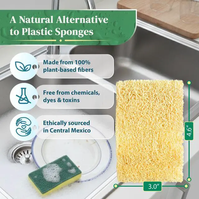 Alt view image 2 of 7 - Natural Loofah Kitchen Sponge (XL - 10 Pack) - Natural Sponges for Dishes - Eco Friendly and Compostable Sponges - Biodegradable Plant Based Kitchen Dish Sponge - Plastic Free Dish Scrubber
