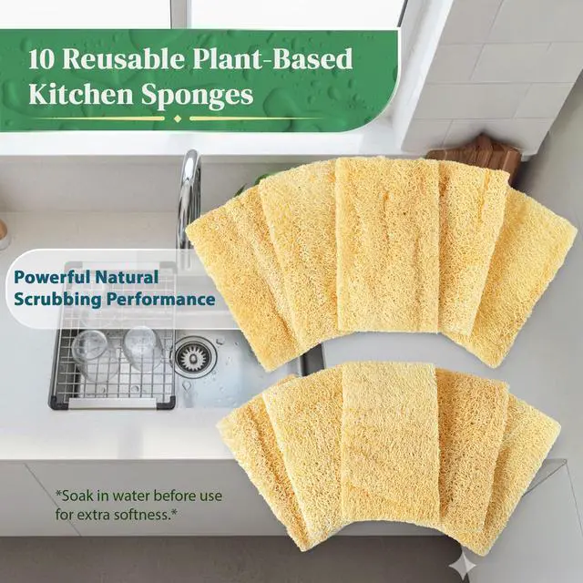 Alt view image 3 of 7 - Natural Loofah Kitchen Sponge (XL - 10 Pack) - Natural Sponges for Dishes - Eco Friendly and Compostable Sponges - Biodegradable Plant Based Kitchen Dish Sponge - Plastic Free Dish Scrubber