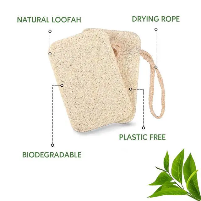 Alt view image 3 of 7 - Natural Dishwashing Sponges (Pack of 6), Kitchen Eco Scrub Scourer, Natural Loofah Plant, Biodegradable and Zero Waste