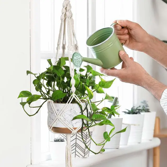 Alt view image 2 of 7 - 3 Pack Macrame Plant Hangers, Hanging Planters for Indoor Plants