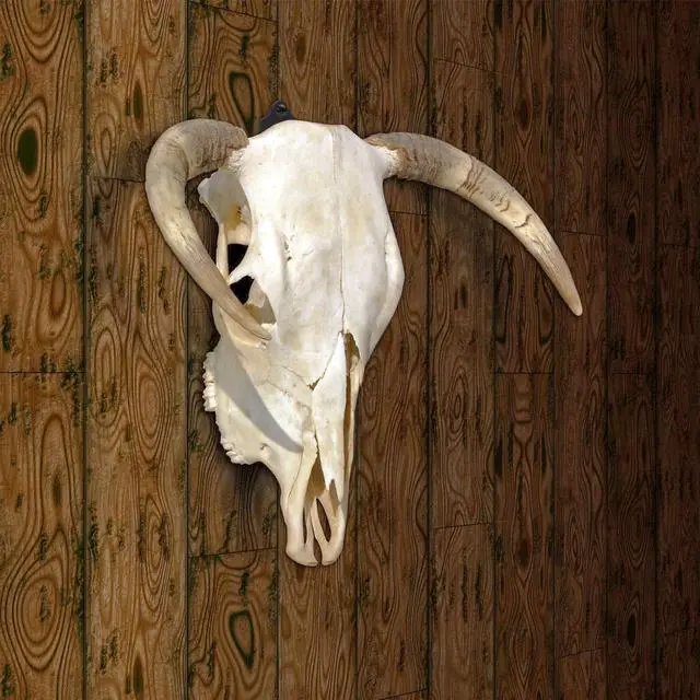Alt view image 6 of 7 - 4 Pack 4.1"x1.4" European Mount Skull Hanger, Stainless Steel, 100% Stainless Steel, Wall Mount, Industrial, Deer, Mule, Antelope, Coyote, Small Game Animals