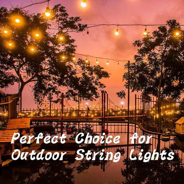 Alt view image 7 of 7 - 20 PCS Q Hanger Hooks with Safety Buckle, Windproof Screw Hooks for Hanging Outdoor String Lights, Plants, Christmas Patio Lights, 2.2 Inches, Black