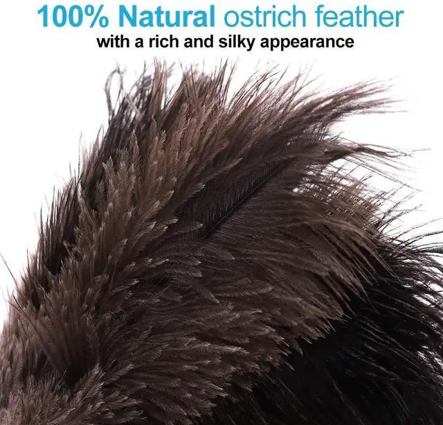 Alt view image 3 of 5 - Natural Black Ostrich Feather Duster,2 Packs,Car Duster Interior/Exterior Cleaner, Cleaning for Blinds Kitchen Keyboard Office, Smart and Soft and Fluffy (Black)