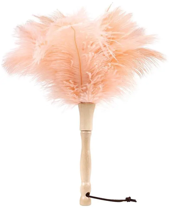 Main image of Ostrich Feather Duster 12 Inch Handheld Duster Supplies, Wooden Handle Feather Duster for Cleaning Keyboard Home Car Office (Champagne)