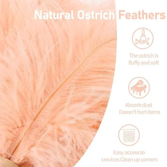 Alt view image 3 of 7 - Ostrich Feather Duster 12 Inch Handheld Duster Supplies, Wooden Handle Feather Duster for Cleaning Keyboard Home Car Office (Champagne)