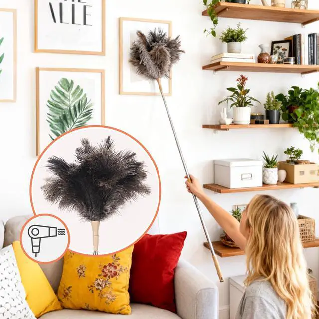 Alt view image 3 of 7 - Extendable Ostrich Feather Duster, Natural Ostrich Feathers Long Handle Duster for Cleaning, 47 Soft & Fluffy Feather Duster for High Ceilings, Fans, Walls, Furniture, Home Dusting