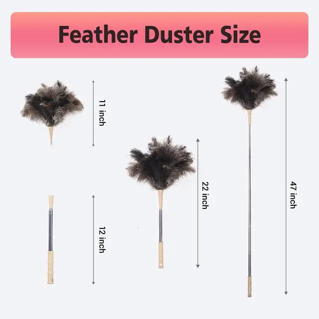 Alt view image 5 of 7 - Extendable Ostrich Feather Duster, Natural Ostrich Feathers Long Handle Duster for Cleaning, 47 Soft & Fluffy Feather Duster for High Ceilings, Fans, Walls, Furniture, Home Dusting