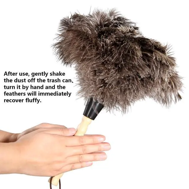 Alt view image 3 of 7 - 2pcs Ostrich Feather Dusters Natural Feathers Duster with Wooden Handle Natural Ostrich Feathers for Home Cleaning and Office Finishing Duster(2pcsLength14
