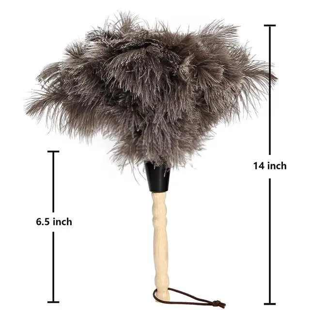 Alt view image 2 of 7 - 2pcs Ostrich Feather Dusters Natural Feathers Duster with Wooden Handle Natural Ostrich Feathers for Home Cleaning and Office Finishing Duster(2pcsLength14