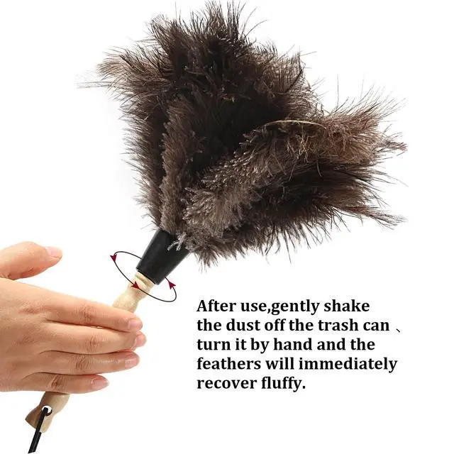 Alt view image 4 of 6 - Ostrich Feather Duster 14 inch Feather Duster Fluffy Natural Genuine Ostrich Feathers with Wooden Handle and Eco-Friendly Reusable Handheld Ostrich Feather Duster for Cleaning Supplies