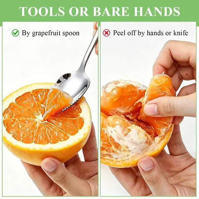 Alt view image 4 of 7 - Grapefruit Spoons 6 Pieces, Stainless Steel Utensil Set, Serrated Edge & Thick Handle for Grapefruit, Kiwi, Apple, Citrus Fruit, Dessert, Dishwasher Safe