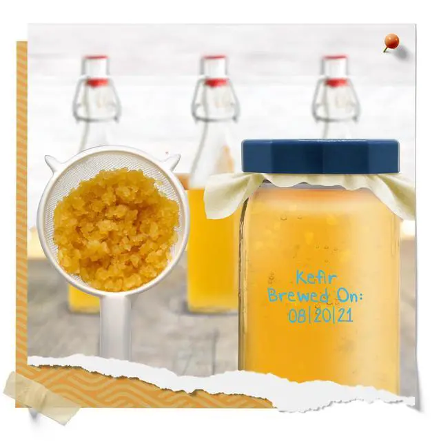 Alt view image 5 of 7 - Nylon Mesh Strainer 2 Pack - Strain Your Wide Mouth Mason Jar Batches - Less Mess, Less Waste - Strain Your Water Kefir Grains - Homebrewing And Kitchen Essential - 2 Strainers - 3"