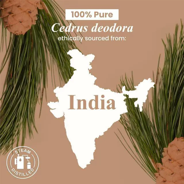 Alt view image 5 of 5 - Cedarwood Essential Oil Huge 4 Fl Oz 100% Pure and Natural Premium Grade Essential Oil for Diffuser and Aromatherapy, Skin, Massage, Candle and Soap Making Fragrance