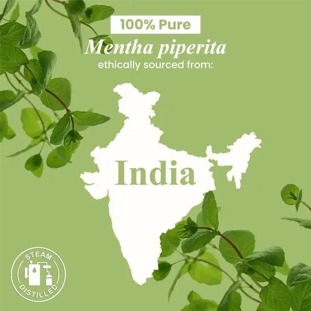 Alt view image 5 of 5 - Peppermint Essential Oil Huge 4 Fl Oz 100% Pure and Natural Premium Grade Essential Oil for Diffuser and Aromatherapy, Skin, Massage, Candle and Soap Making Fragrance