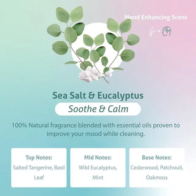 Alt view image 5 of 7 - Clean Plant Based Dish Soap Liquid - Sea Salt & Eucalyptus fl. 16 oz (Pack of 3) - Non Toxic Dish Soap Liquid, All Natural Scent, Organic Dishwashing Cleaner and Detergent for Kitchen