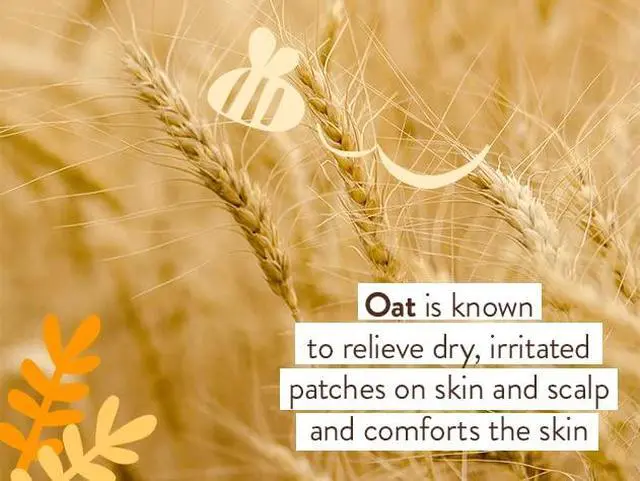 Alt view image 3 of 5 - Moisturizing Oat & Calendula Conditioner - Silicone-Free - For Dry or Sensitive Skin - For all ages - Vegan - Lightly Scented