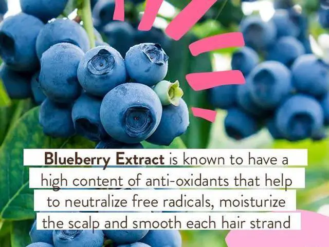 Alt view image 3 of 7 - Smoothing Berry 2-in-1 Shampoo & Wash - Detangling & Nourishing - Eliminates Frizz & Prevents Static - Evening Primrose Oil - For all ages - Light Berry Fragrance- Vegan