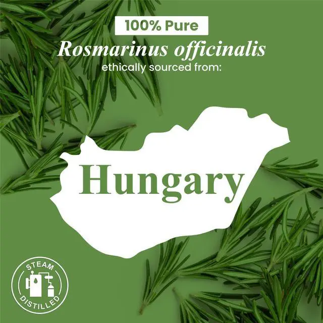Alt view image 5 of 5 - Rosemary Essential Oil Huge 4 Fl Oz 100% Pure and Natural Premium Grade Essential Oil for Diffuser and Aromatherapy, Skin, Massage, Candle and Soap Making Fragrance