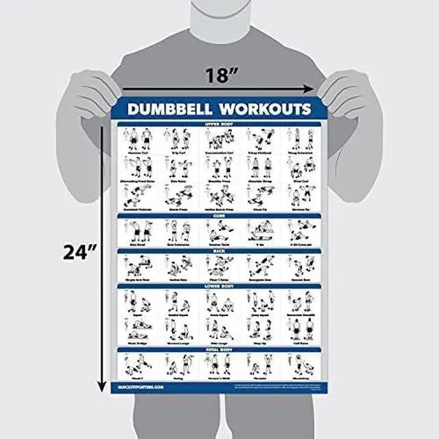 Alt view image 2 of 5 - Palace Learning Dumbbell Workout Exercise Poster - Free Weight Body Building Guide | Home Gym Chart - LAMINATED, 18" x 24"