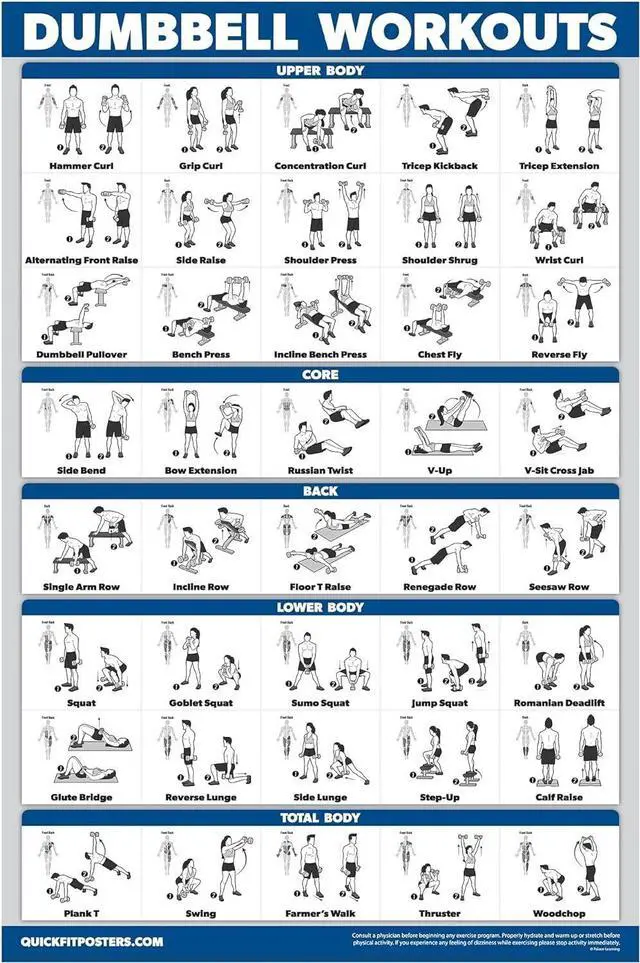 Main image of Palace Learning Dumbbell Workout Exercise Poster - Free Weight Body Building Guide | Home Gym Chart - LAMINATED, 18" x 24"