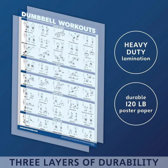 Alt view image 3 of 5 - Palace Learning Dumbbell Workout Exercise Poster - Free Weight Body Building Guide | Home Gym Chart - LAMINATED, 18" x 24"