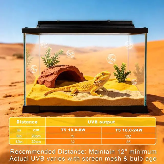Alt view image 4 of 7 - T5 UVB Reptile Light Fixture Combo Kit 8W 10.0 Complete HO UVB Light for Reptiles with 12.44" Terrarium Hood, Desert UVB Bulb for Bearded Dragon Gecko Tortoise Lizard Easy to Install and Use