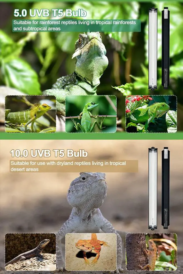 Alt view image 3 of 7 - Ycxydr UVB Light for Reptiles, 12 Inch T5 10.0 UVB Reptile Light Fixture 8W, High Output UVA UVB Linear Lamp with Replaceable Bulb for Bearded Dragons, Tortoises & Lizards