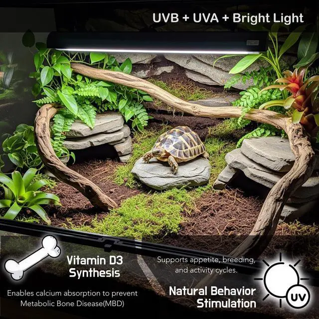 Alt view image 3 of 7 - ReptiKing Upgraded T5 UVB Reptile Light, 10.0 UVB 8W German Made Fluorescent Lamp and Fixture Kit, for Desert-Dwelling Reptiles, Bearded Dragon,Tortoise, Snake, Strip Linear UVB Lamp Bulb,12 Inch